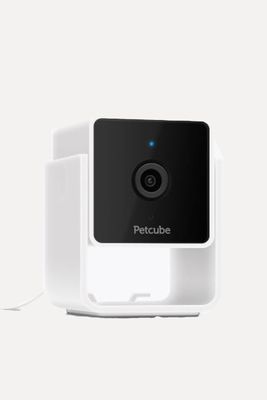 Pet Camera from Petcube