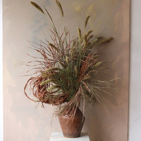 Dried Flowers from Designed By Nature