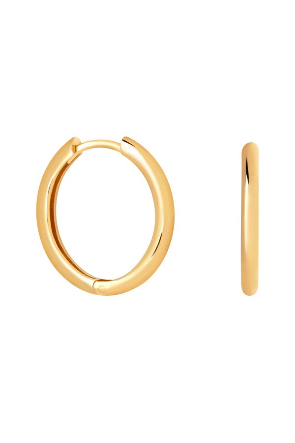 Simple Hinge Small Hoops from Astrid & Miyu