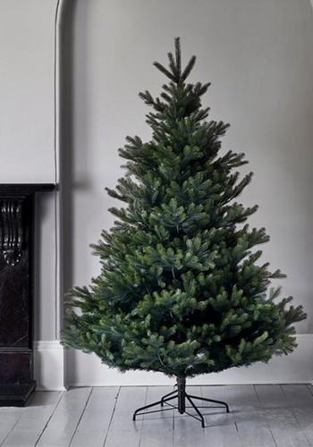 Alberg Fir Artificial Christmas Tree from Lights4Fun