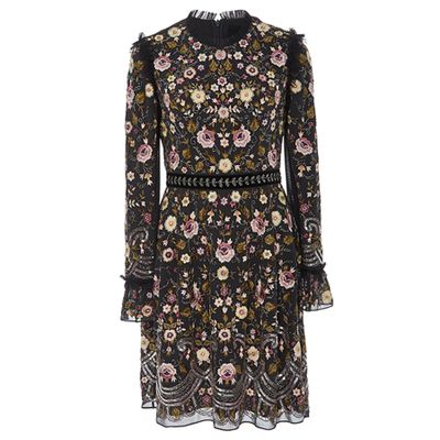Marella Floral-Embroidered Mini Dress from Needle & Thread
