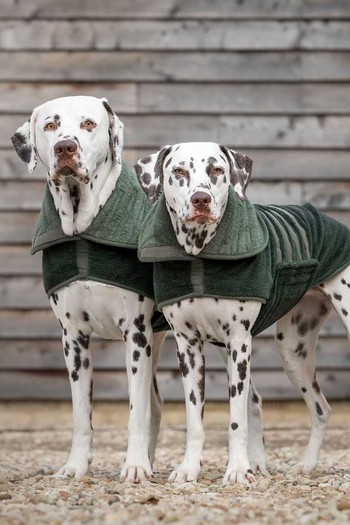 Bamboo Drying Coat from Lords & Labradors