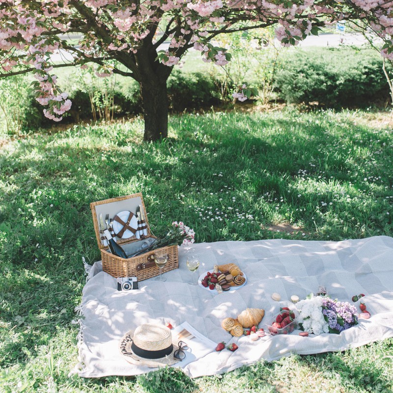 The Best Green Spaces In The City For A Summer Picnic