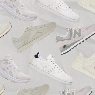 8 Great Trainers At eBay 
