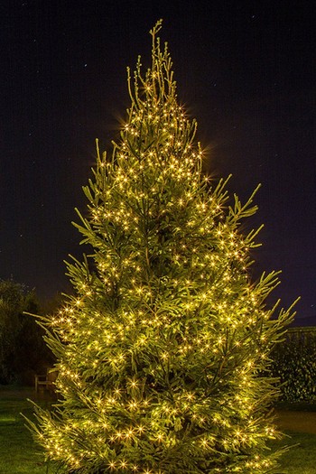 Powis Castle Christmas, Wales