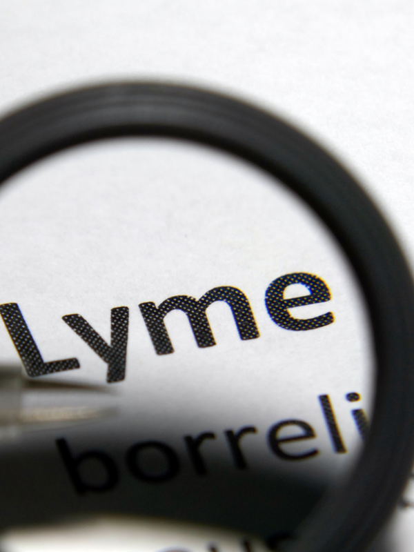 A Nutritionist Shares Her Experience With Lyme Disease 