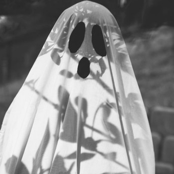 Why We’re Ghosting In The Office, Our Friendships & Love Lives