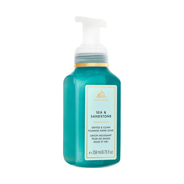 Gentle & Clean Foaming Hand Soap from Bath & Body Works
