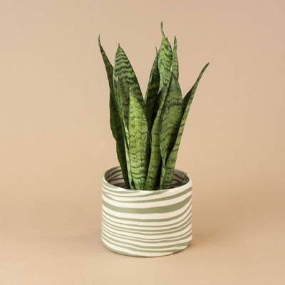 Studio Small Planter from Henry Holland