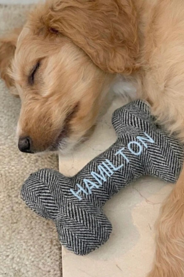 Personalized Dog Bone Toy from Thread & Paw Co