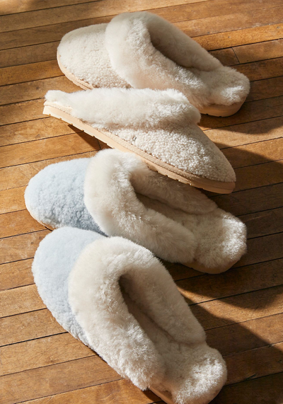 Jolie Teddy Slippers