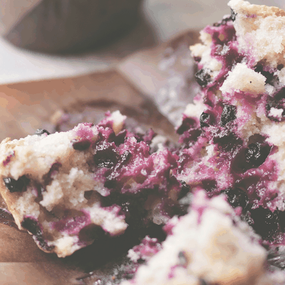 Wild Blueberry Muffins 