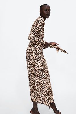 Long Leopard Print Dress from Zara