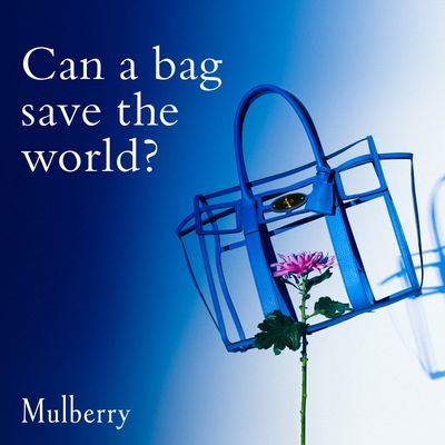 Can A Bag Save The World? 