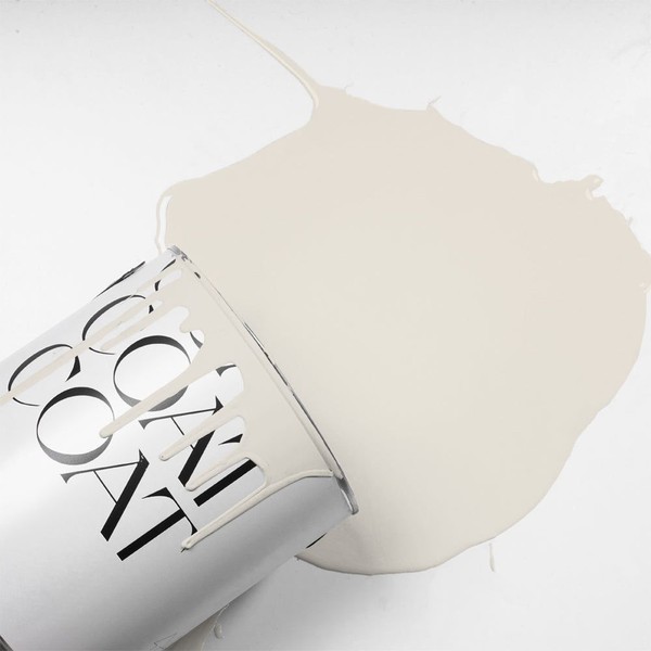 Paint from Coat