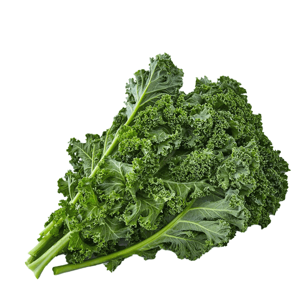 Organic British Green Kale from Natoora 