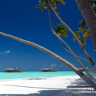 7 Of The Best Hotels In The Maldives 