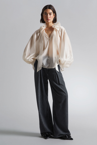 Sheer Ruffle Collar Blouse  from & Other Stories 