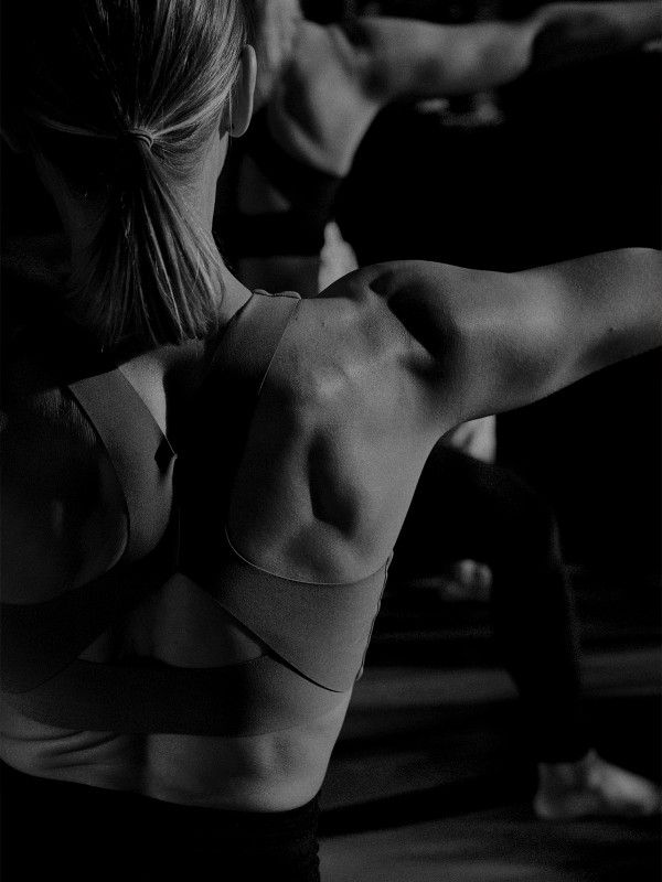 Everything You Need To Know About Building Muscle Mass