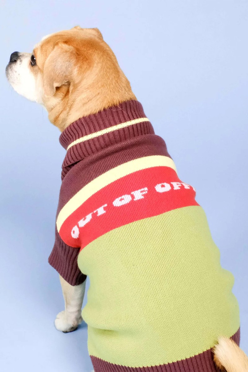 Out Of Office Knitted Dog Jumper from  Barc London