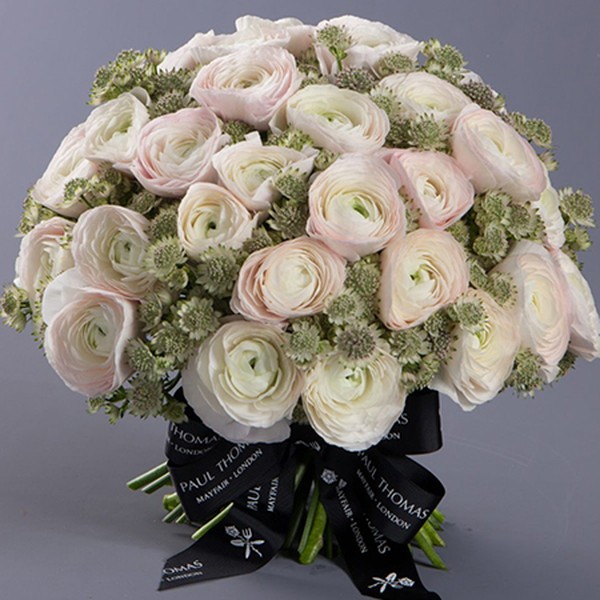 Blush from Paul Thomas Flowers