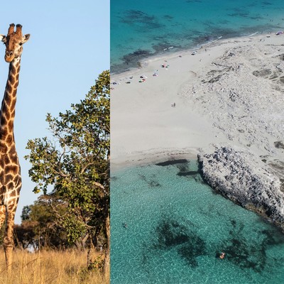 My Life In Travel: Amanda Teale