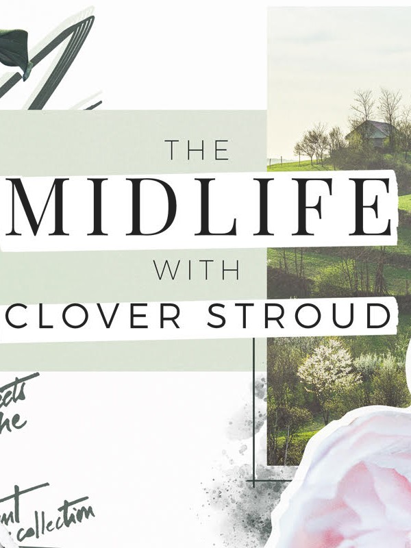 The Mid-Life: What My Second Marriage Has Taught Me