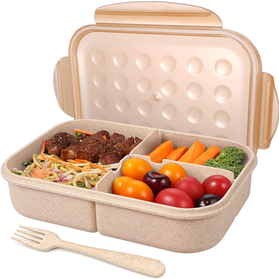 Bento Box For Adults from Jeopace