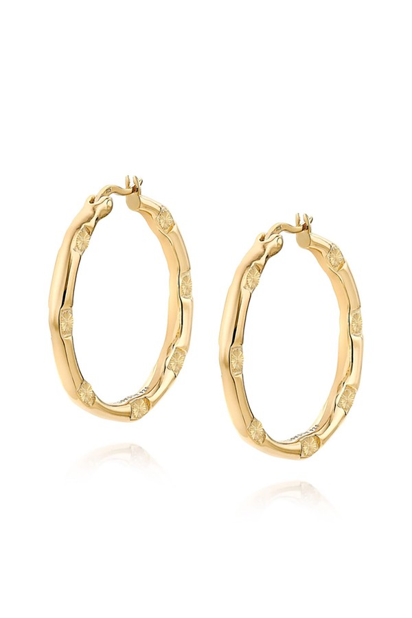 Hoop Earrings from Daisy Jewellery