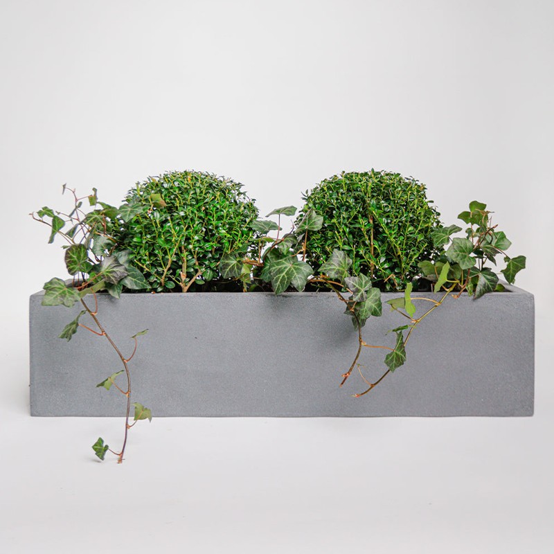 Windowsill Pot - Grey from Soto Gardens