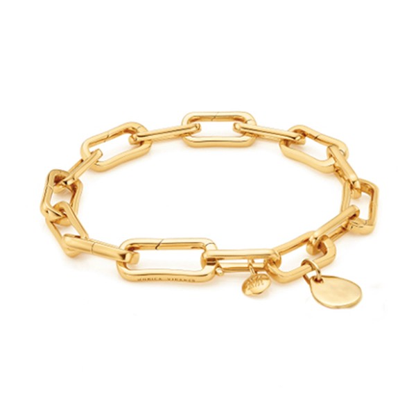 Alta Capture Charm Bracelet and Ziggy Pendant Charm Set