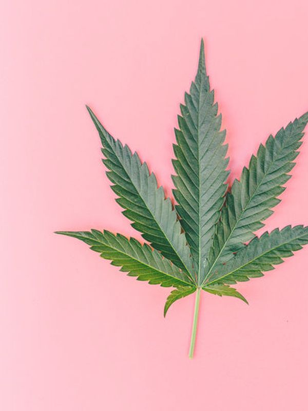 The Best CBD Supplements & Cannabis Beauty Products