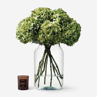 Pistachio Hydrangea With Vase from FLOWERBX