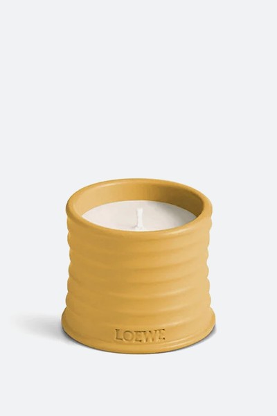 Wasabi Candle from Loewe