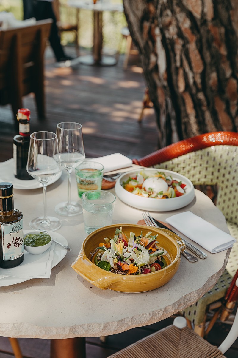 Vista At Hôtel Lily Of The Valley