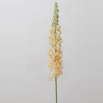 Faux Eremurus Stem from Anthropologie