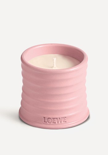 Small Ivy Candle from Loewe