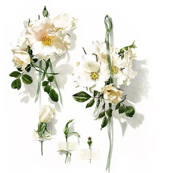 The Dressmakers Flowers from Billy Showell