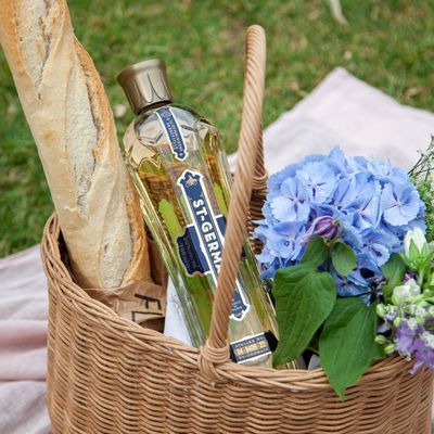  How To Host The Perfect Picnic 
