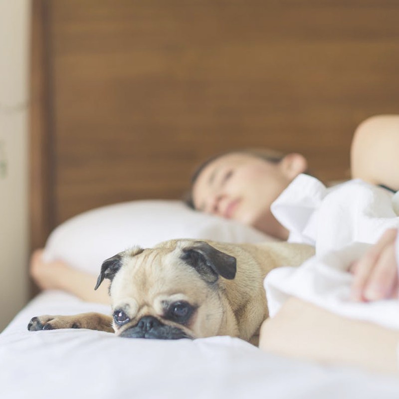 The Hack For Falling Asleep In 1 Minute