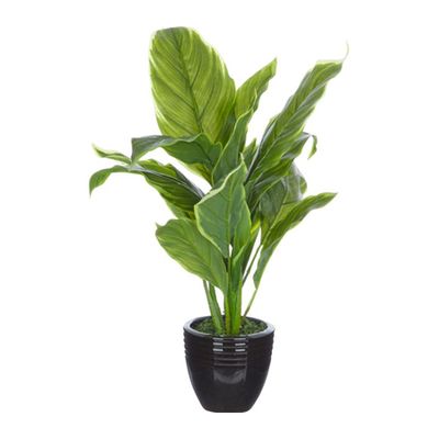 Green Artificial Spathylium Plant 40x25cm from TK Maxx