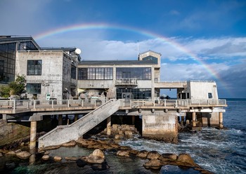 Monterey Bay Aquarium