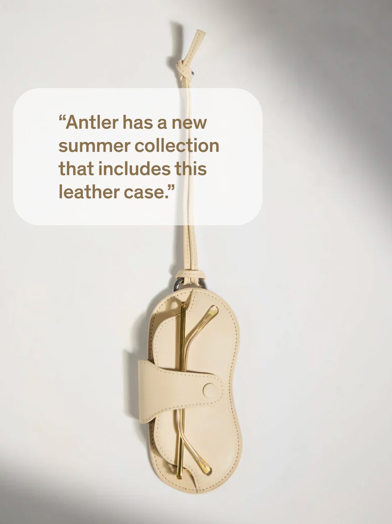 Leather Sunglasses Case from Antler