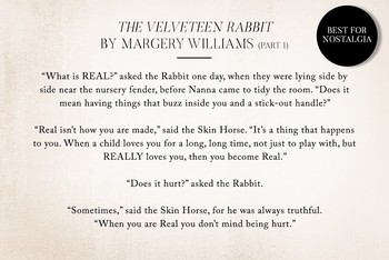 The Velveteen Rabbit by Margery Williams