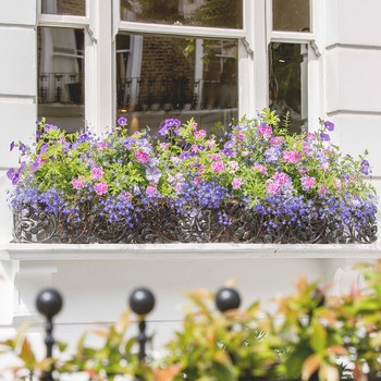 How To Create Beautiful Window Boxes