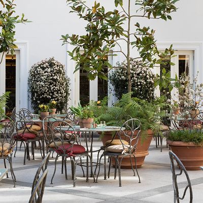 Why Everyone's Talking About The Petersham Nurseries Restaurant Opening