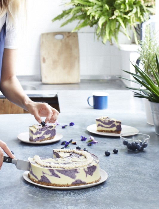 Blueberry & Lemon Swirl Cheesecake