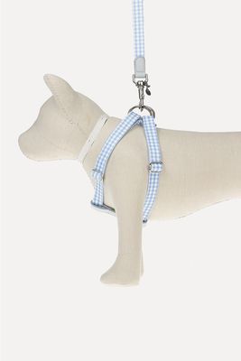 Ring Dog Harness from Mungo & Maud