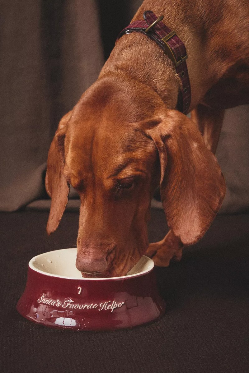 Stoneware Christmas Pet Food Bowl from Zara Home