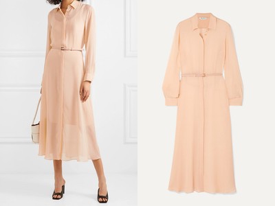 Delfi Belted Silk-Chiffon Midi Dress from Max Mara